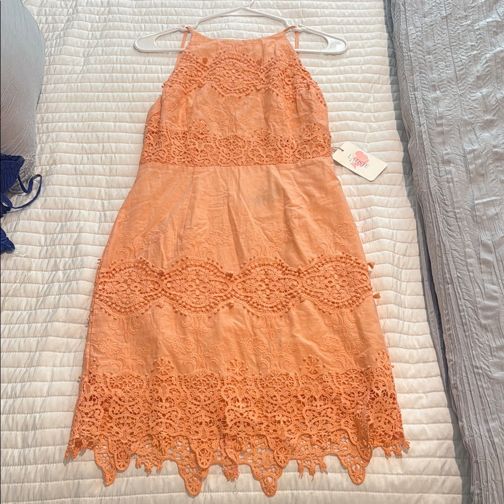 L’atiste backless coral embroidered dress